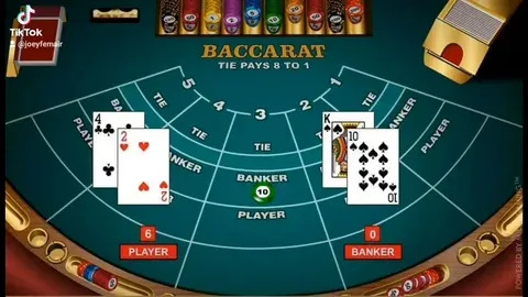 aviator loja por perto 