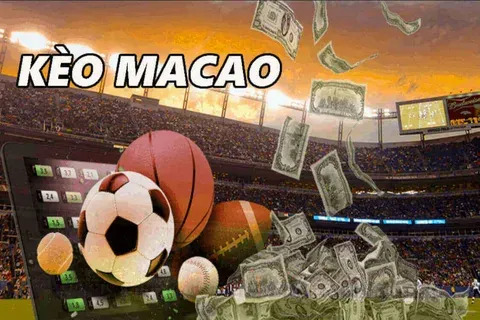 b2xbet mines telegram 