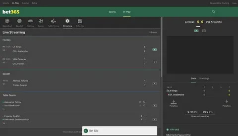 bet365 telefone 