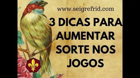 bet esportes app 