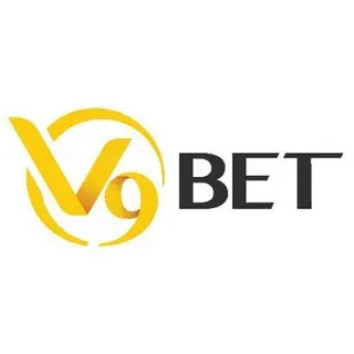bingo online plataforma 